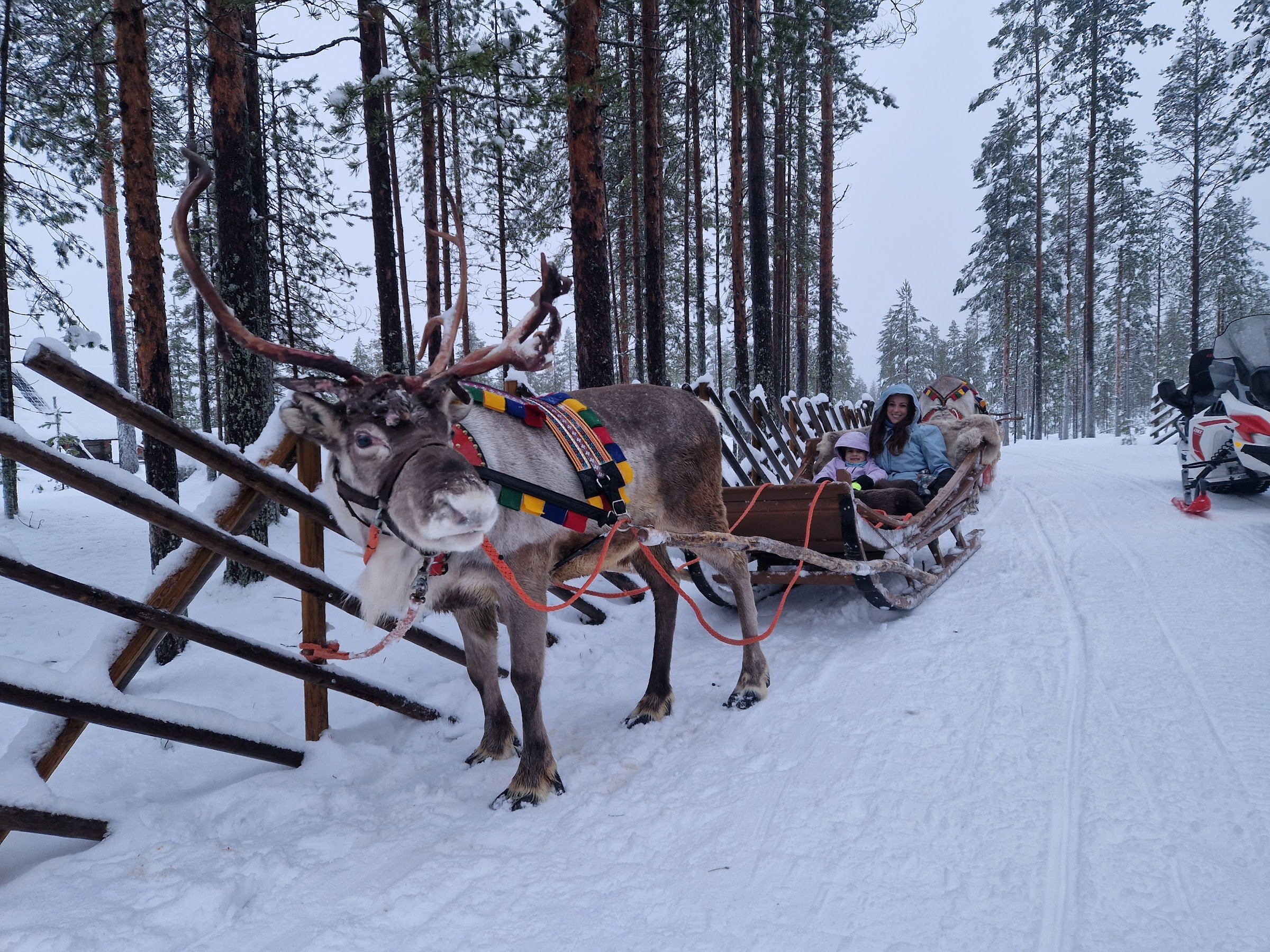Porovaara Reindeer Farm